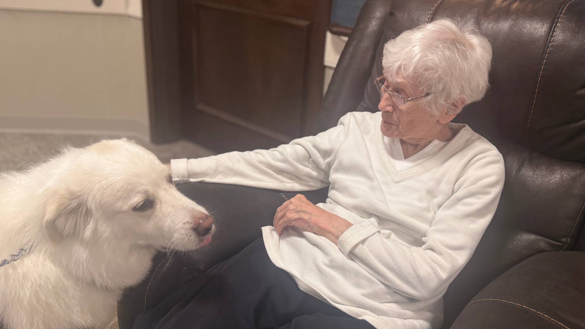 The Benefits of Pet Therapy and Animal Companionship in Senior Communities