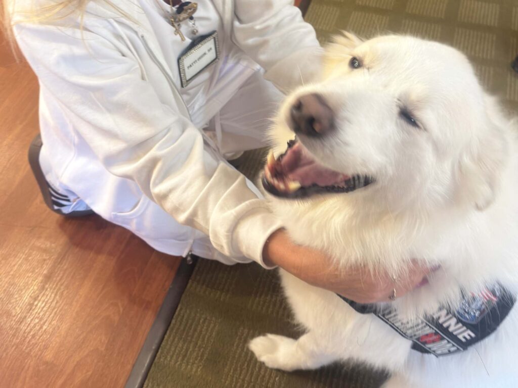 pets in senior living