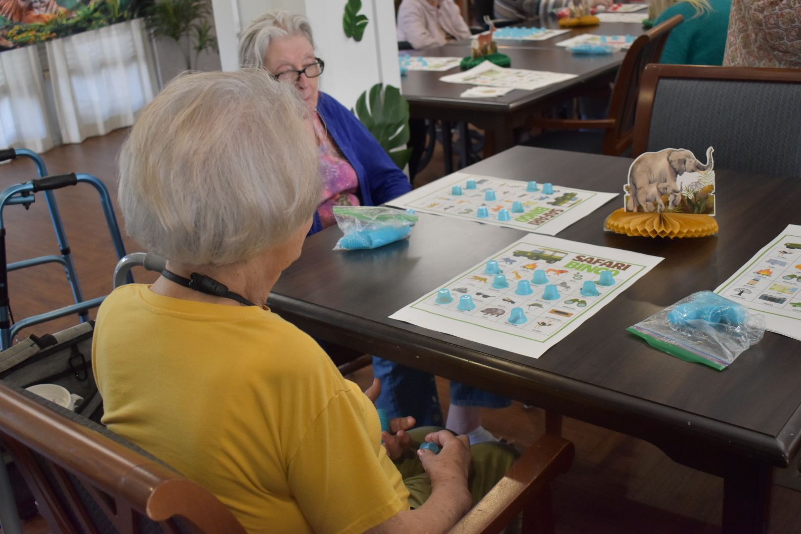 assisted living vs nursing home