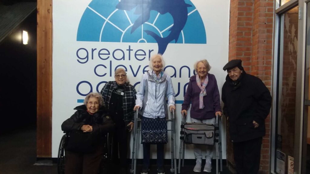 winter safety for seniors