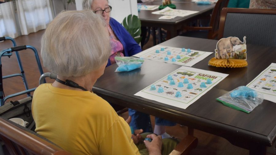 assisted living vs nursing home