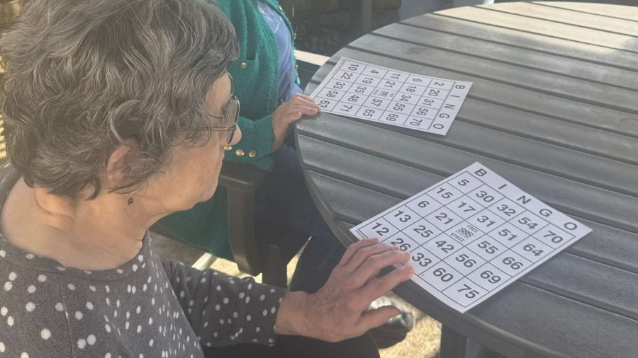 mental stimulation seniors