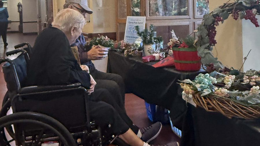 spring cleaning seniors